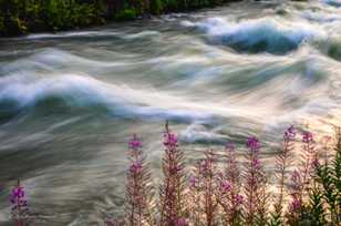 Deschutes River-1390